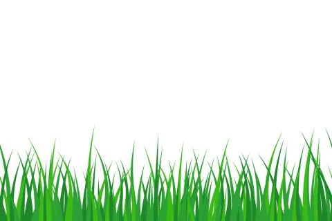 Vector illstration of grass seamles background. Flat design. Isolated. Stock Illustration