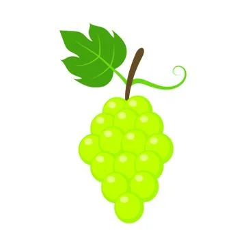 Vector illstration of green grape icon. Flat design. Isolated. Stock Illustration