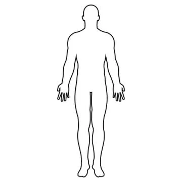 Vector illstration of human body icon. Outline design. Isolated. Stock Illustration