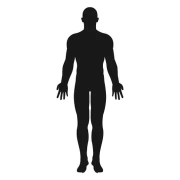Vector illstration of human body icon. Flat design. Isolated. Stock Illustration