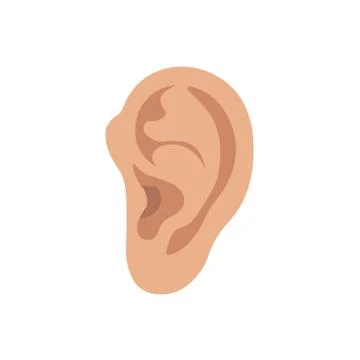 Vector illstration of human ear on white background. Isolated. Stock Illustration