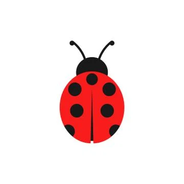 Vector illstration of ladybug icon. Flat design. Isolated. Stock Illustration