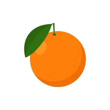 Vector illstration of orange fruit on white background. Isolated. 스톡 일러스트