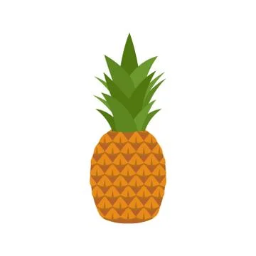 Vector illstration of pineapple. Flat design. Isolated. Stock Illustration