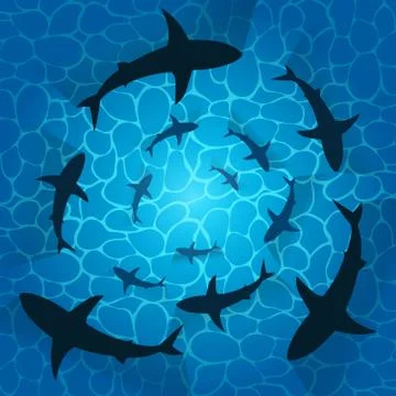 Vector illstration of sharks in ocean. Isolated. Stock Illustration