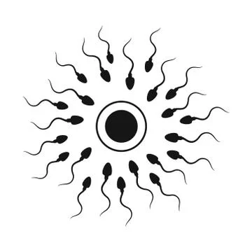 Vector illstration of sperm and egg icon. Flat design. Isolated. Stock Illustration