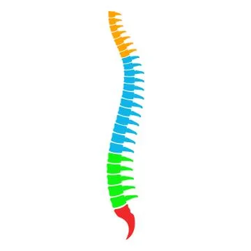 Vector illstration of spine icon on white background. Stock Illustration