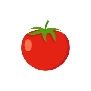Vector illstration of tomato . Flat design. Isolated. Stock Illustration