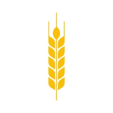 Vector illstration of wheat ear icon on white background. Isolated. Stock Illustration