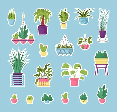 Vector illustation or pot plants stickers set, potted flowers. Hand drawn nat Stock Illustration