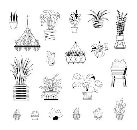 Vector illustation pot plants set, line art potted flowers. Hand drawn black  Stock Illustration