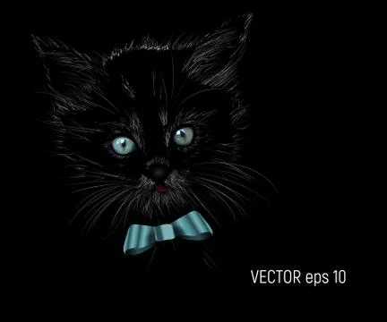 Vector Illustrated Portrait of Cat Stock Illustration