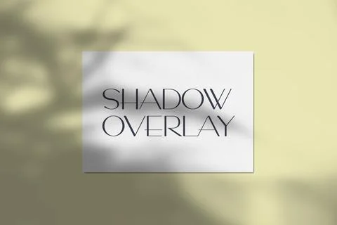 Vector illustration of a4 paper mockup with realistic tropical shadow overlay Stock Illustration