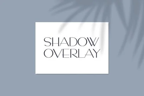 Vector illustration of a4 paper mockup with realistic tropical shadow overlay Illustrazione stock