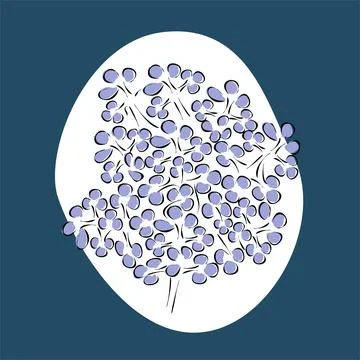 Vector illustration. Abstract floral background, lilac, hand-drawn. Stock Illustration