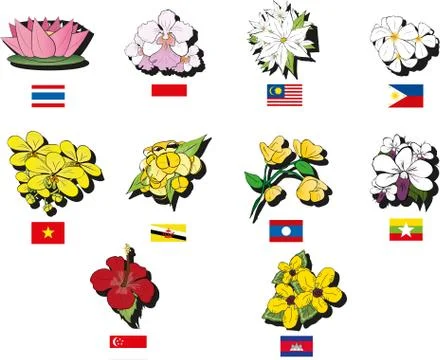 Vector illustration of  AEC Flower Stock Illustration