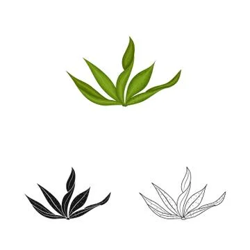 Vector illustration of algae and healthy symbol. Set of algae and aquarium stock Illustrazione stock