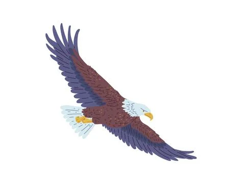Vector illustration of an American bald eagle in flat style. 스톡 일러스트