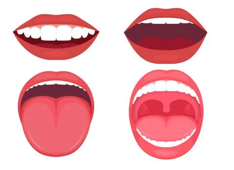 Vector illustration of a anatomy human open mouth. medical diagram Stock Illustration
