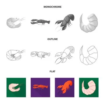 Vector illustration of appetizer and ocean sign. Collection of appetizer and Stock Illustration