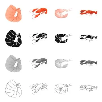 Vector illustration of appetizer and ocean icon. Collection of appetizer and Stock Illustration