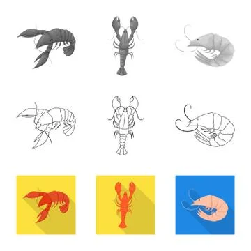 Vector illustration of appetizer and ocean sign. Collection of appetizer and Stock Illustration