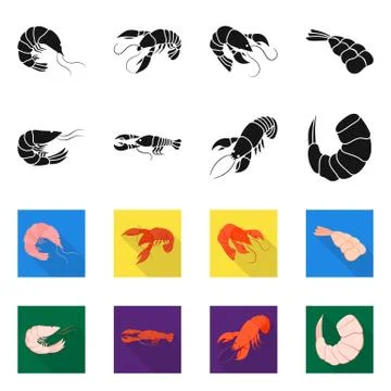 Vector illustration of appetizer and ocean icon. Set of appetizer and delicacy Stock Illustration
