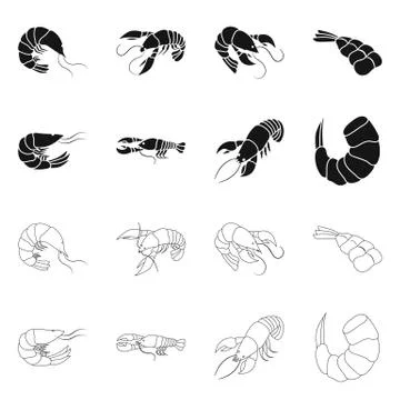 Vector illustration of appetizer and ocean symbol. Set of appetizer and delicacy Stock Illustration