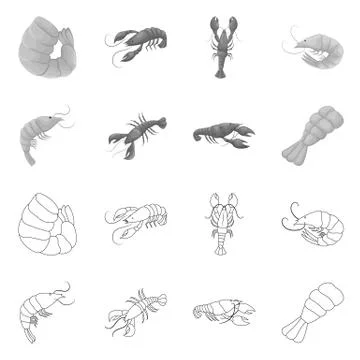 Vector illustration of appetizer and ocean sign. Set of appetizer and delicacy Stock Illustration
