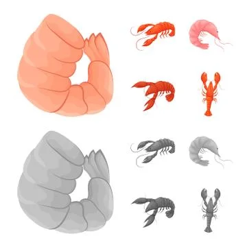 Vector illustration of appetizer and ocean symbol. Set of appetizer and delicacy Stock Illustration