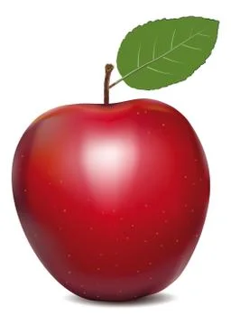 Vector Illustration of Apple 스톡 일러스트