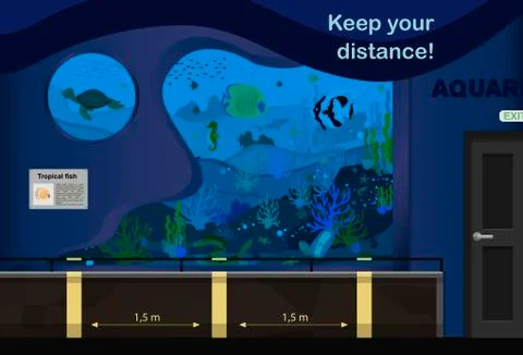 Vector illustration of the aquarium. An internal room with aquariums and Stock Illustration