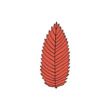 Vector illustration of ashberry leaf in cartoon style. Colorful autumn design Ilustración de archivo
