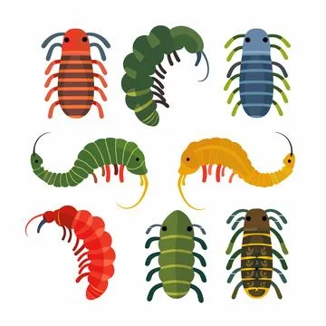 Vector illustration assorted stylized bugs insects various colors, isolated Stock Illustration