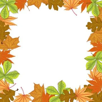 Vector illustration of autumn composition. Frame made of colorfull dried leav Stock Illustration