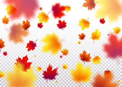 Vector illustration autumn flying red, orange, brown, yellow maple leaves イラスト素材