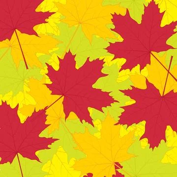 Vector illustration of autumn maple leaves Stock Illustration