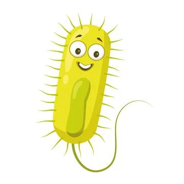 Vector illustration of a Bacillus bacteria in cartoon style isolated on whi.. Stock Illustration