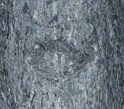 Vector illustration of Background and texture of black pine bark or in Lati.. Stock-Illustration