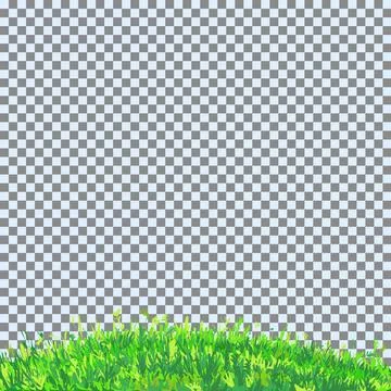 Vector illustration background box for insertion. Grass valley meadow on Stock Illustration
