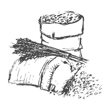 Vector illustration of a bag of grain and flour for baking bread, drawn by .. Stock Illustration