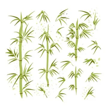 Vector illustration of bamboo leaves, stems, brunches. Green ecology Stock Illustration
