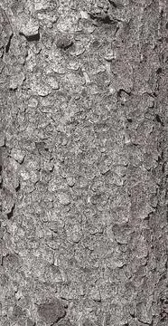 Vector illustration of the bark texture of the trunk of Norway spruce Picea a Stock Illustration