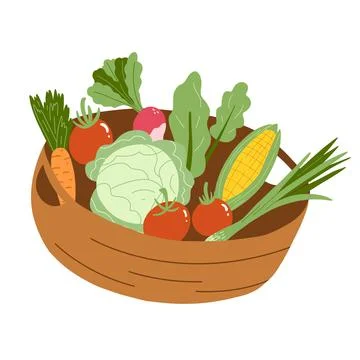 Vector illustration of basket with vegetables in flat hand drawn style. Tomato Stock Illustration