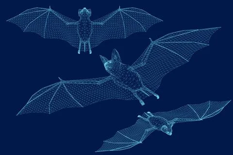 Vector illustration of bat wireframe in different positions made of blue lines Stock Illustration
