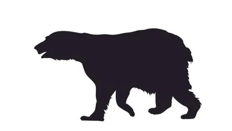 Vector illustration of a bear that stands, drawing silhouette Illustrazione stock
