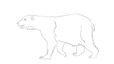 Vector illustration of a bear that stands, vector Stock Illustration