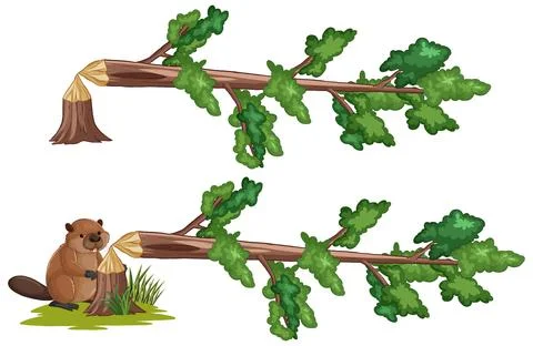 Vector Illustration of a Beaver Gnawing on a Fallen Tree Stock Illustration
