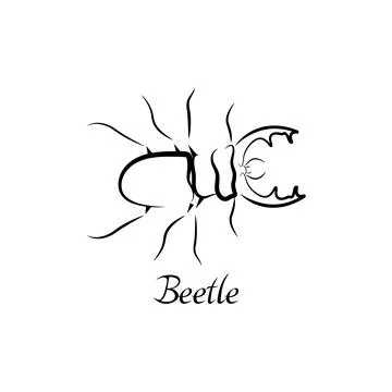 Vector illustration of beetle. Stock Illustration