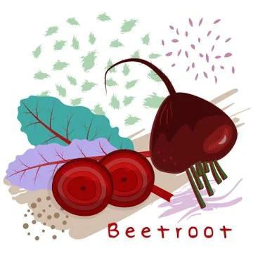 Vector illustration of beetroot decorated with abstract colorful elements and Stock Illustration
